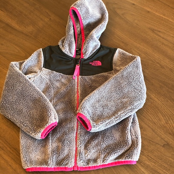 toddler girl north face spring jacket